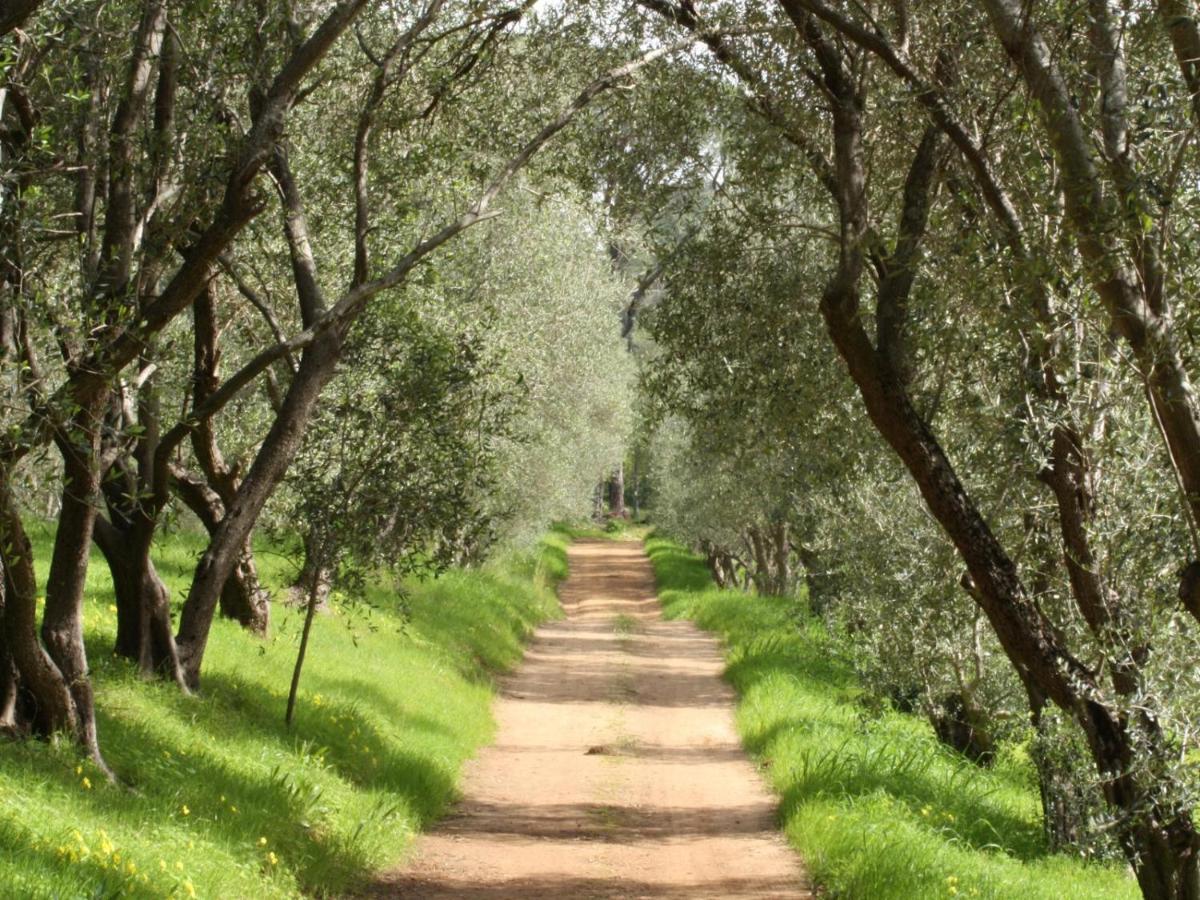 Retreat At Waterfall Valley Paarl Εξωτερικό φωτογραφία
