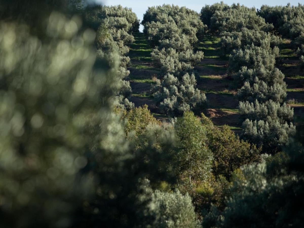Retreat At Waterfall Valley Paarl Εξωτερικό φωτογραφία