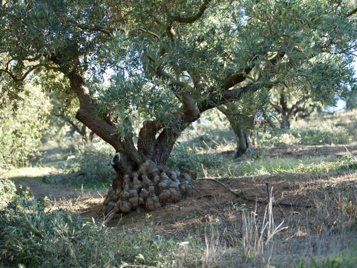 Retreat At Waterfall Valley Paarl Εξωτερικό φωτογραφία