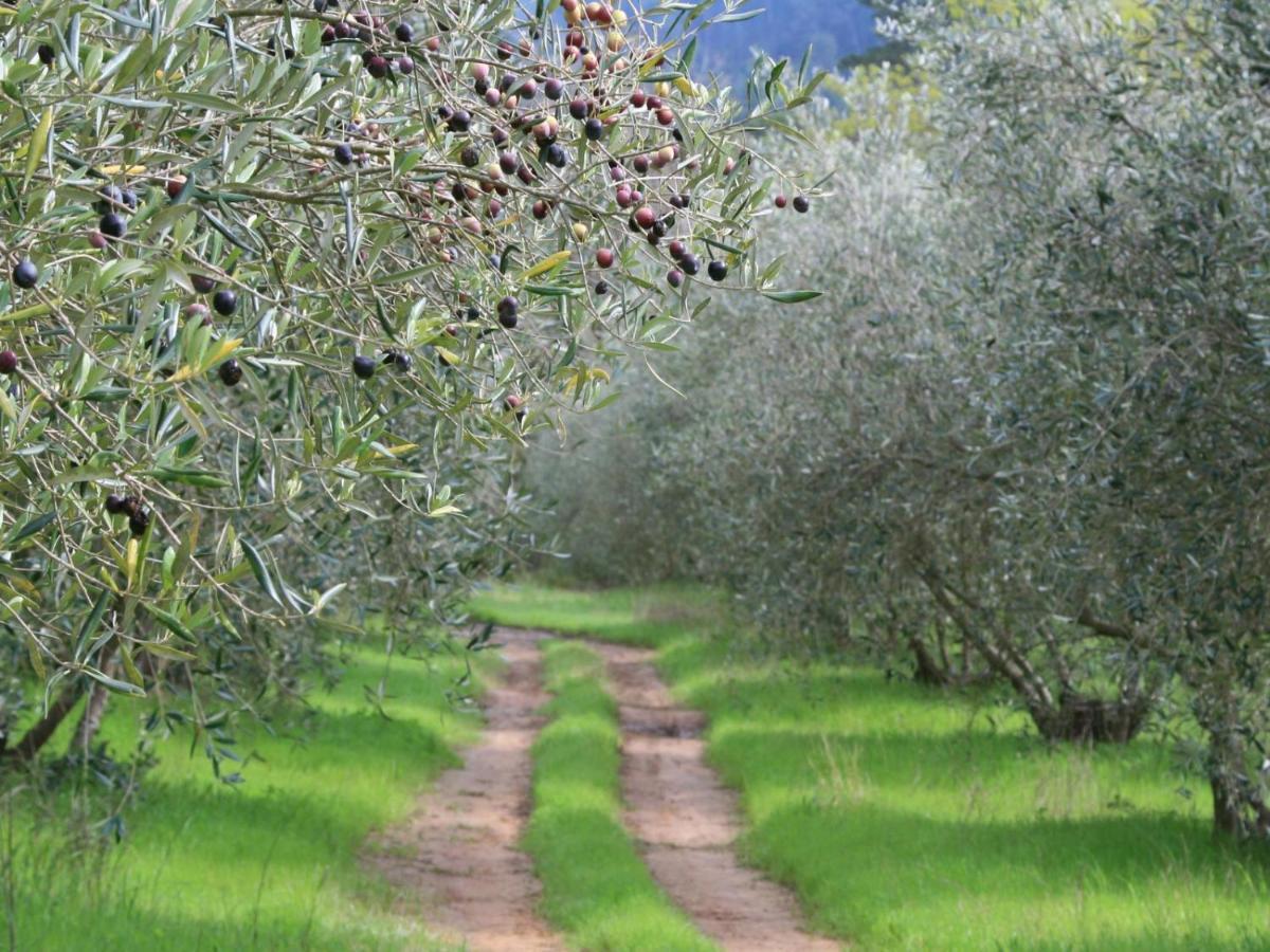 Retreat At Waterfall Valley Paarl Εξωτερικό φωτογραφία